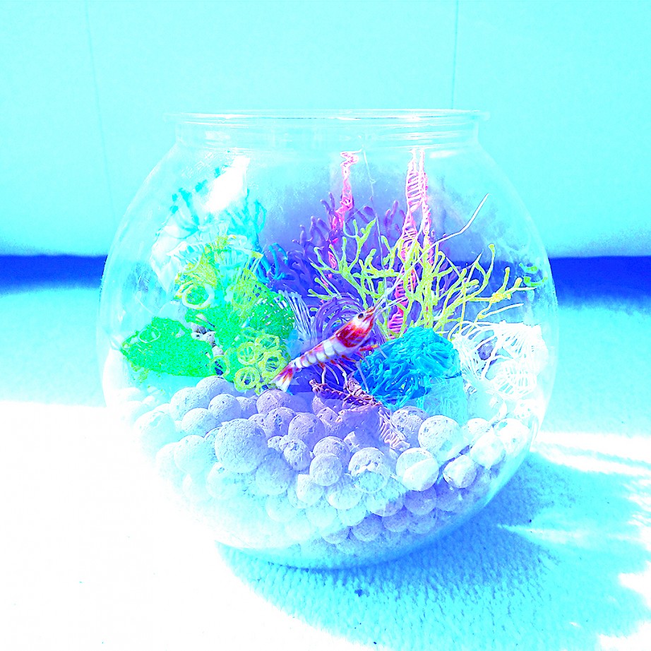 Aquatic Emporium ~ Fish Bowl (2020). Approx. 20 x 20 x 20cm. Acrylonitrile butadiene styrene filament sculptures in a cocktail fish bowl with hydroton.
